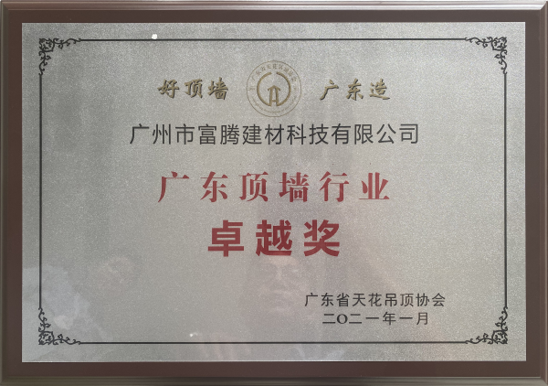 廣東頂墻行業卓越獎
